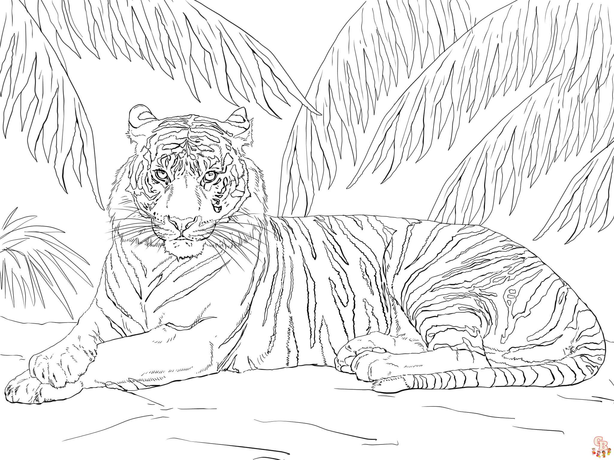 ausmalbilder kostenlosWeisser Bengalischer Tiger 1