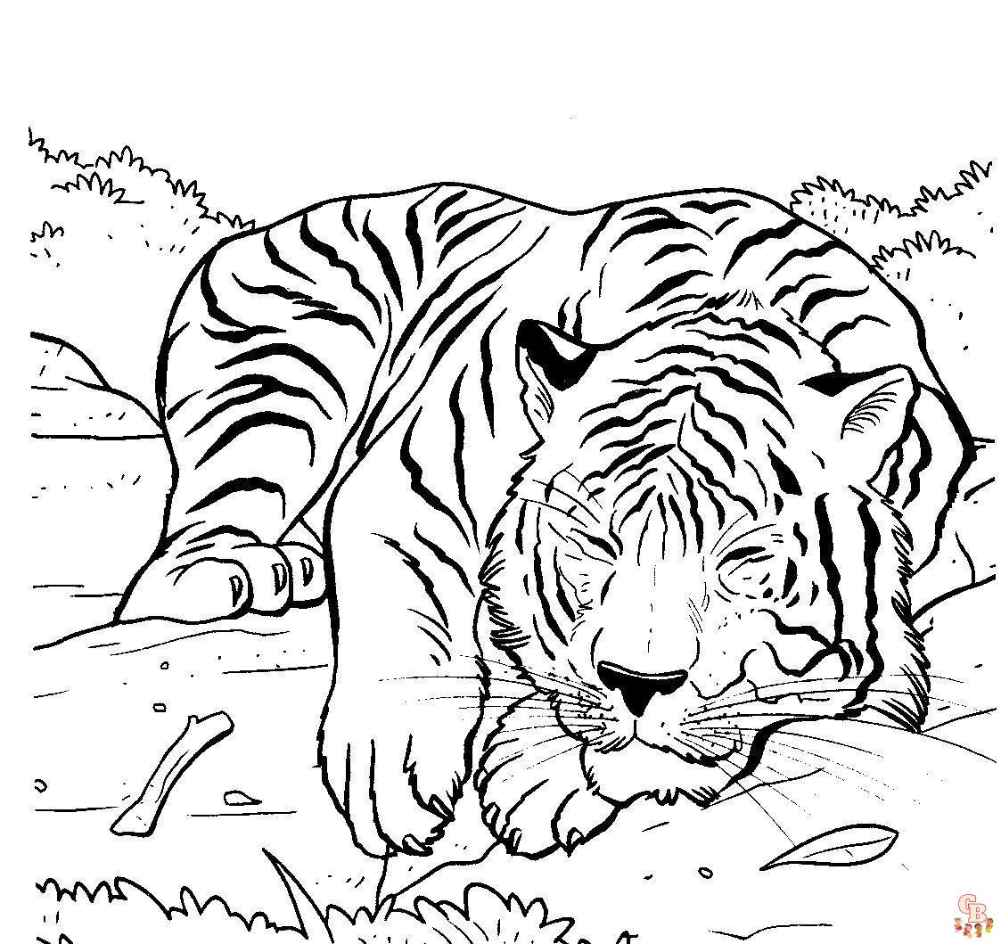 schlafender Tiger ausmalbilder zum ausdrucken 2