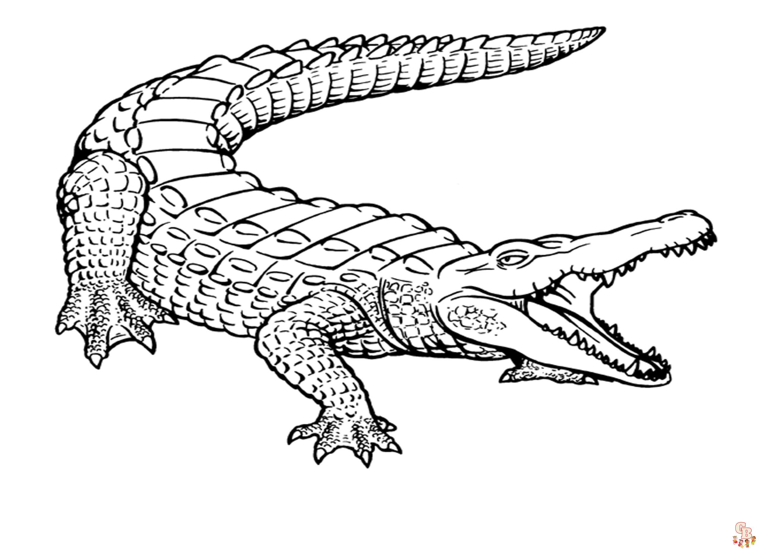 ausmalbild krokodil