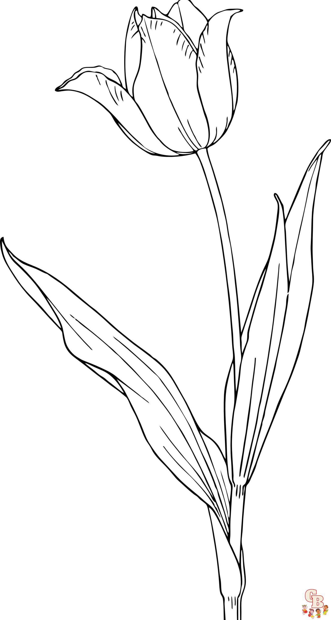 ausmalbilder tulpe