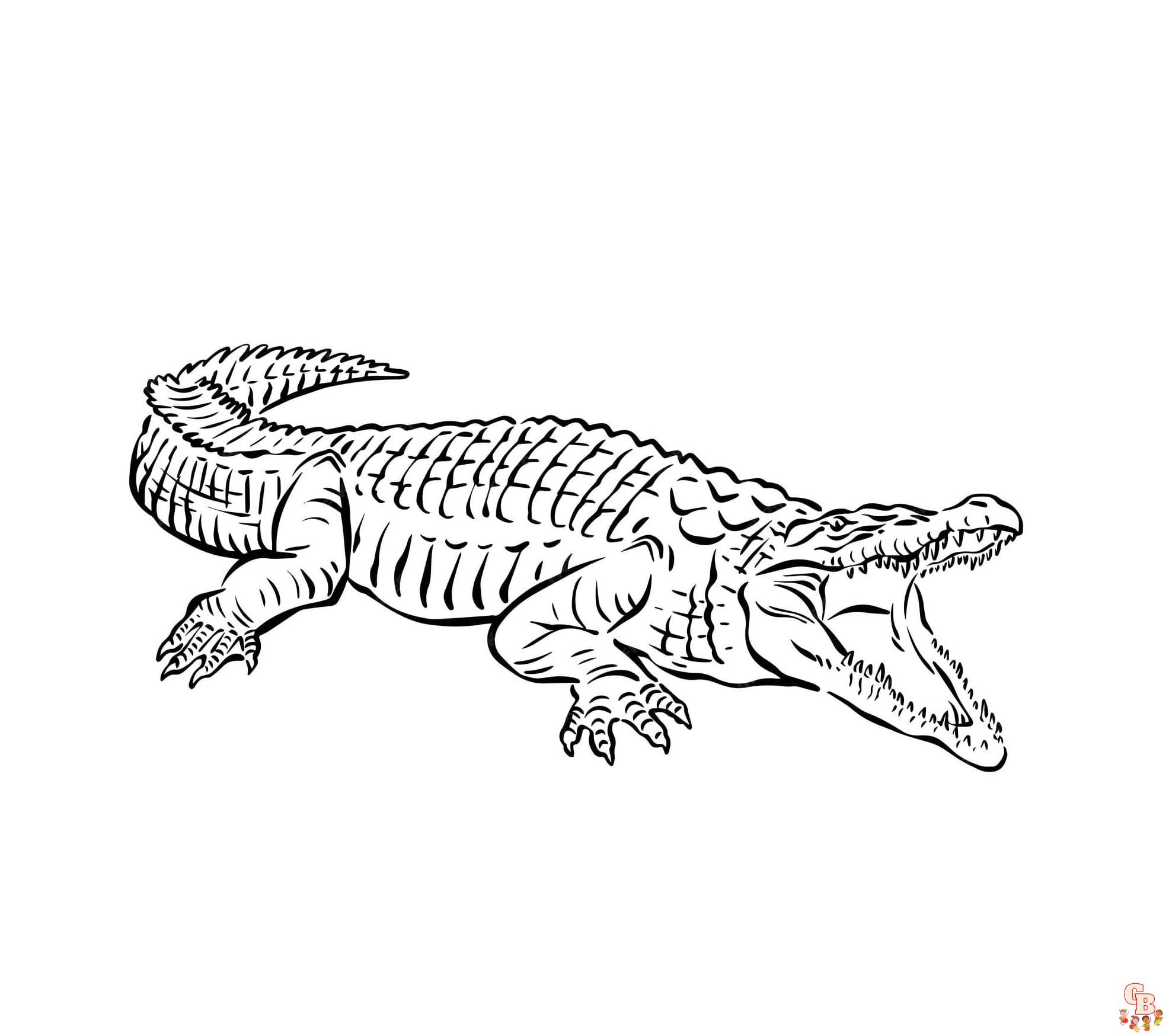 krokodil ausmalbild