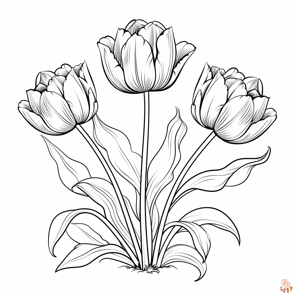 tulpe ausmalbild