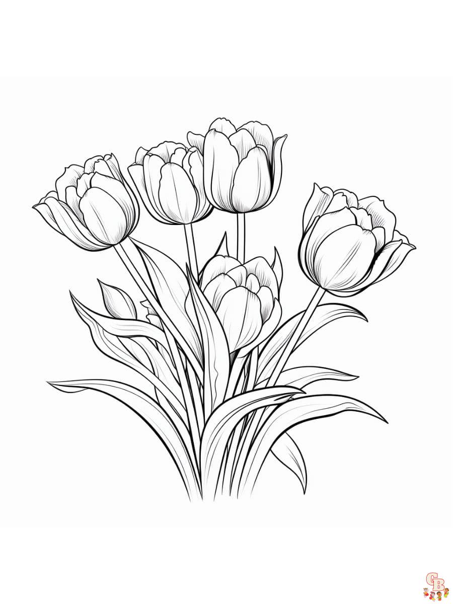 tulpen ausmalbilder